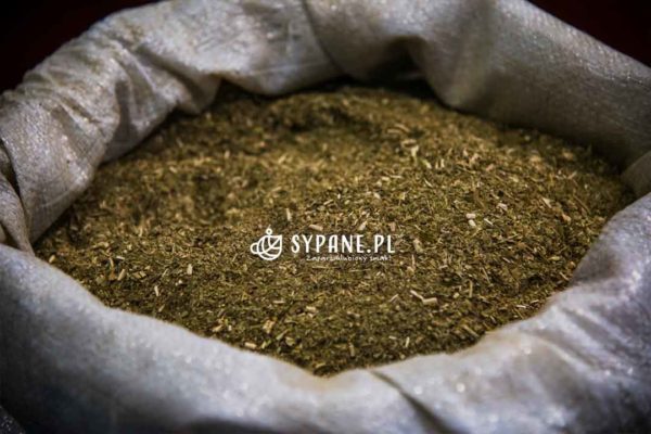 Rodzaje, smaki i skład Yerba Mate: paragwajska, argentyńska, brazylijska, owocowa, ziołowa, organiczna, z guaraną