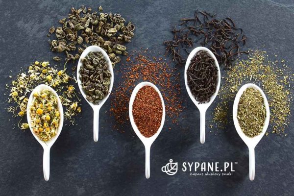 Producenci Yerba Mate z Paragwaju, Argentyny, Brazylii